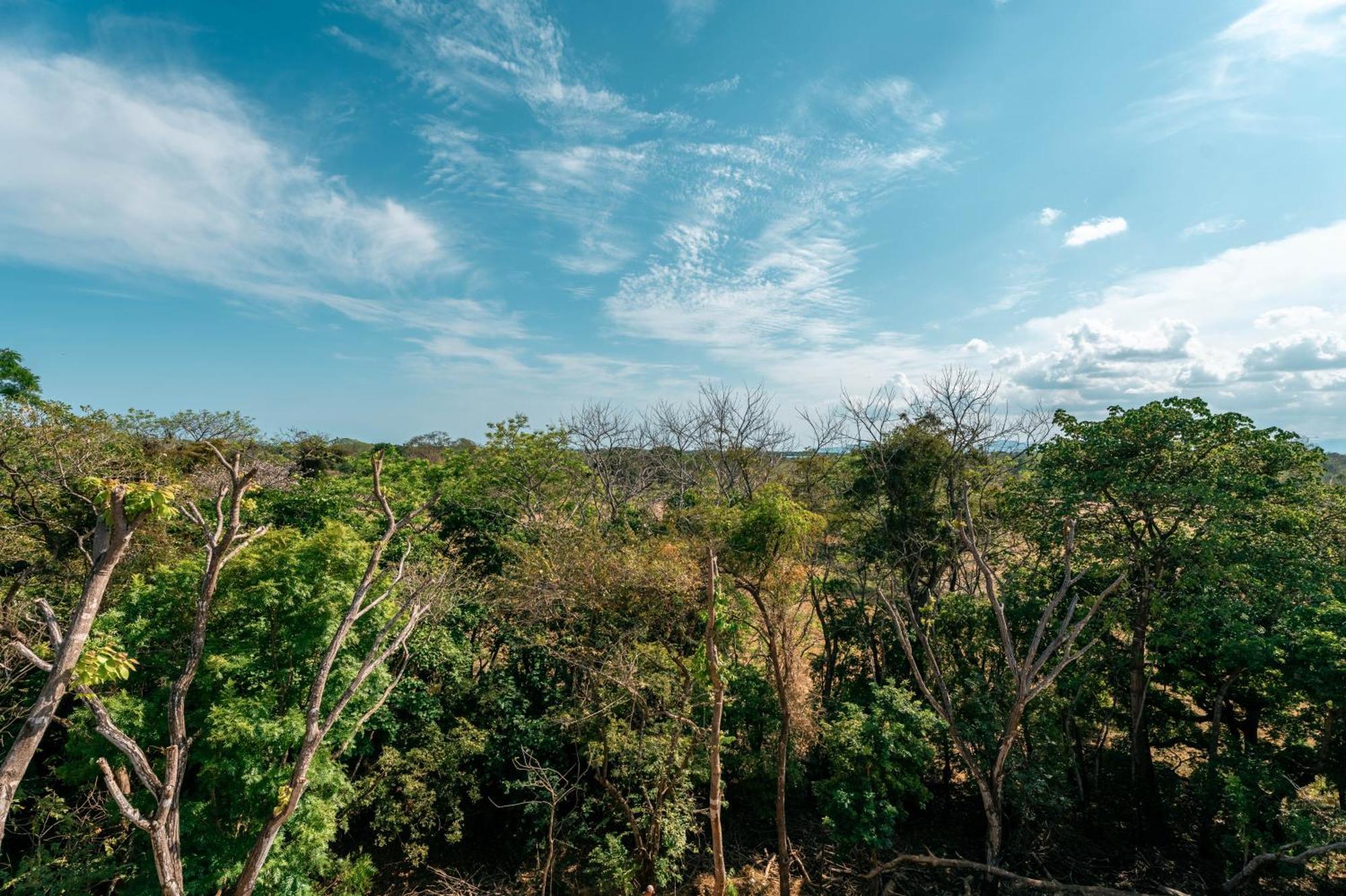 Alaya Yoga & Surf & Retreat Hotel Playa Venao Exterior photo